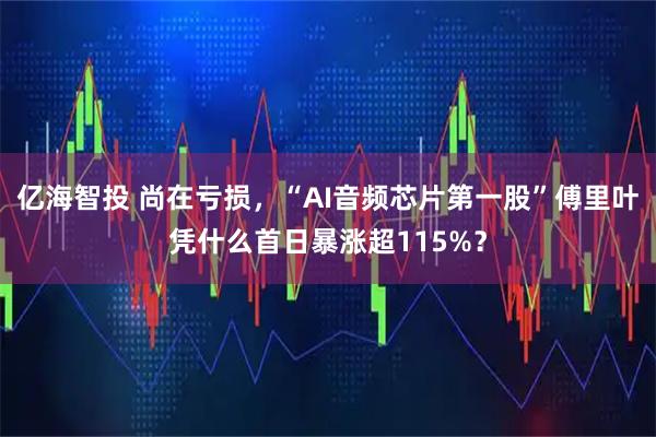 亿海智投 尚在亏损，“AI音频芯片第一股”傅里叶凭什么首日暴涨超115%？