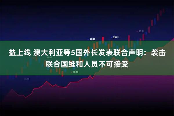 益上线 澳大利亚等5国外长发表联合声明：袭击联合国维和人员不可接受